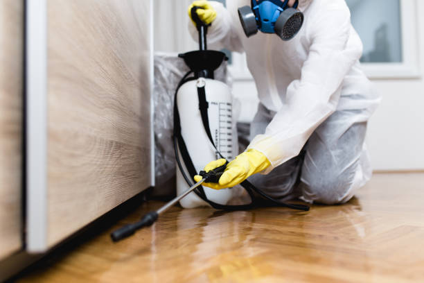 Best Emergency Pest Control  in Morenci, AZ