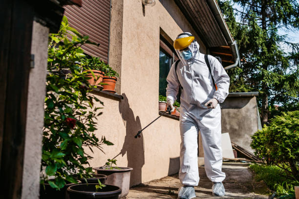 Morenci, AZ Pest Control Company