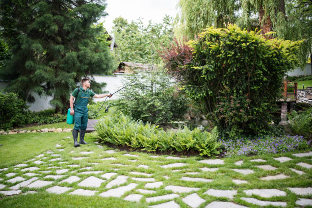 Best Affordable Pest Control Services  in Morenci, AZ