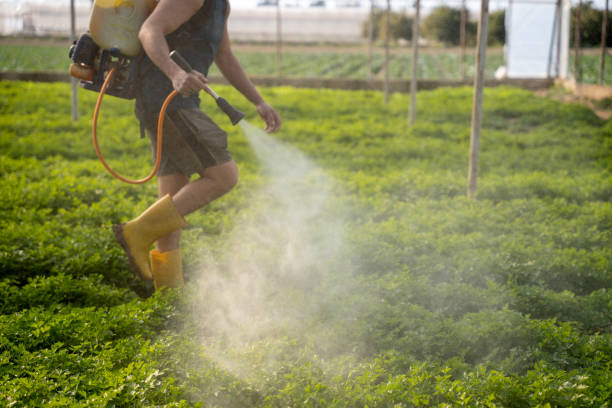 Pest Control Cost in Morenci, AZ