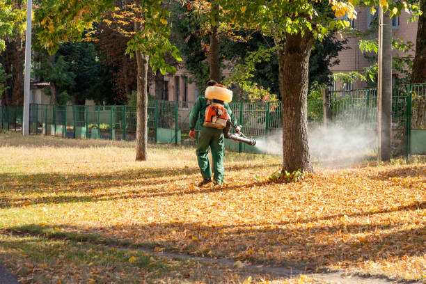Best Pest Removal Services  in Morenci, AZ